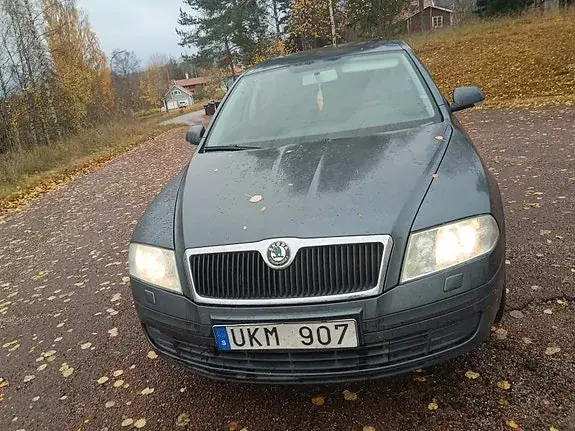 Skoda Octavia 2007 photo 3