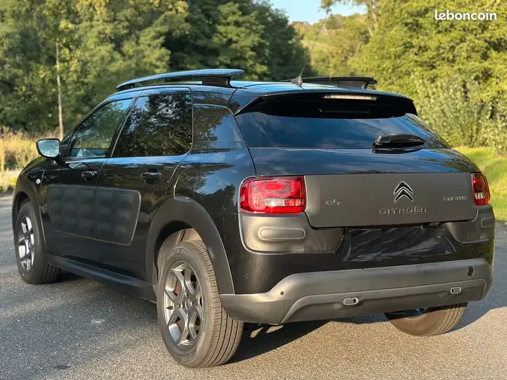 Citroen C4 Cactus 2016 photo 3