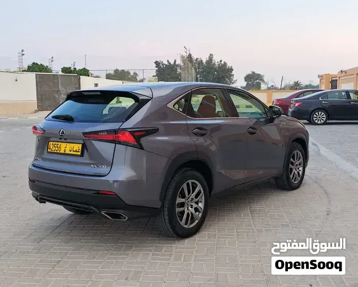 Lexus Nx 2021 photo 3