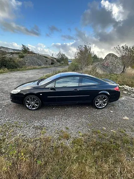 Peugeot 407 2008 photo 2