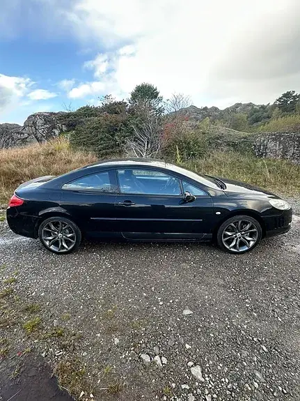 Peugeot 407 2008 photo 3