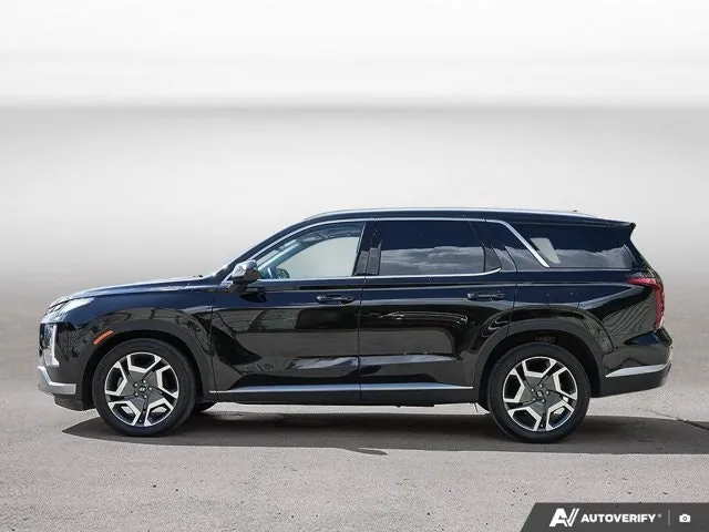 Hyundai Palisade 2024 photo 2
