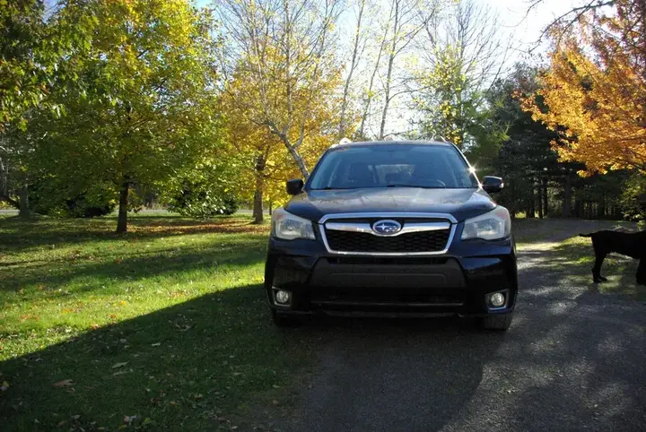 Subaru Forester 2014 photo 4