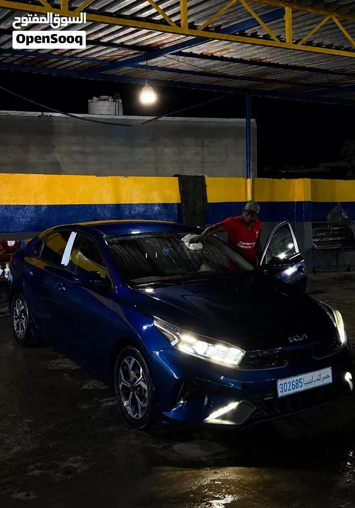 BAIC Senova D50 2023 photo 5