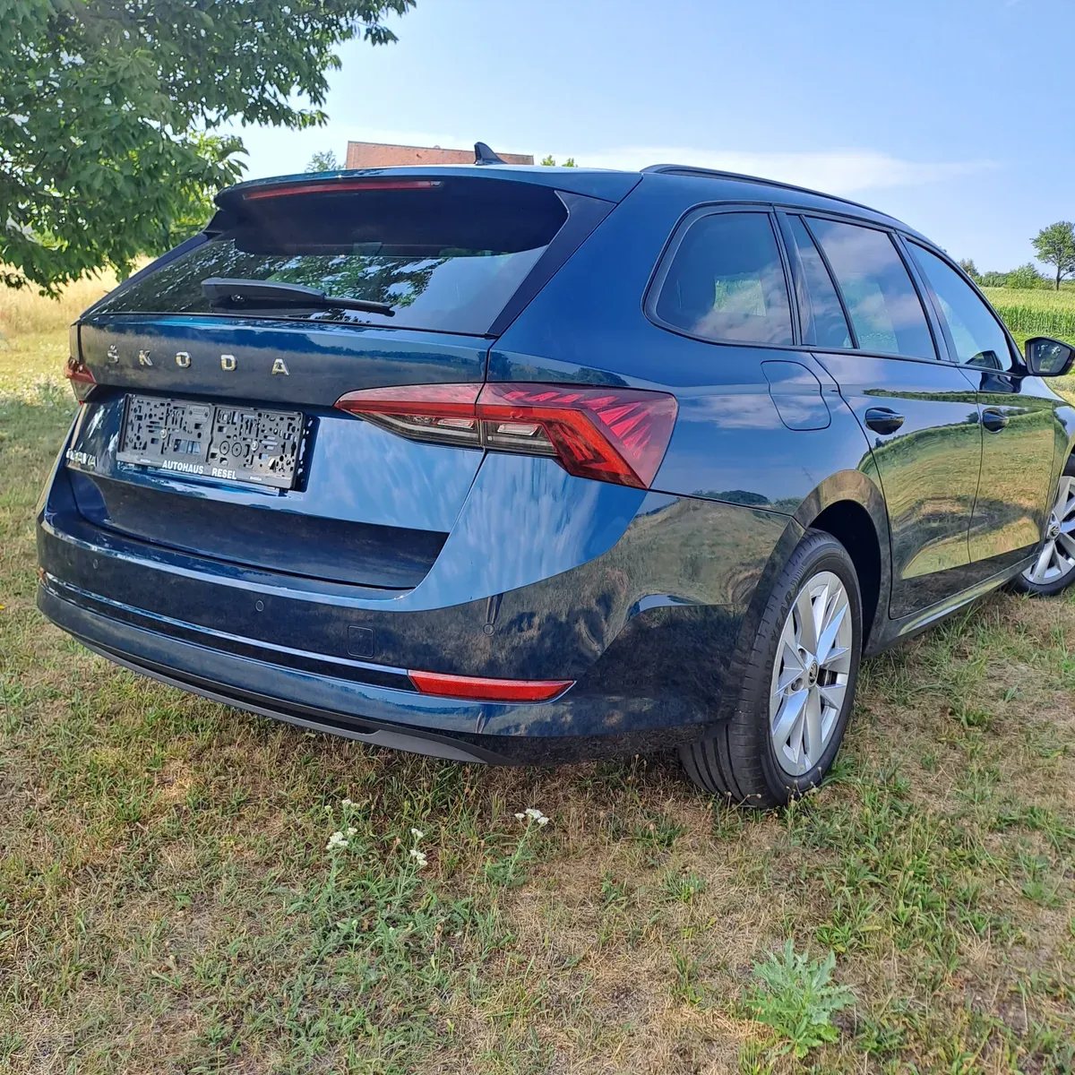 Skoda Octavia 2021 photo 3