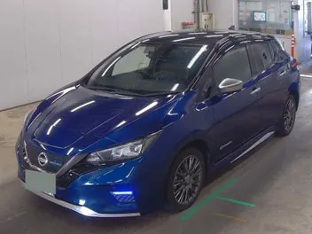 Nissan Leaf 2020 photo 5