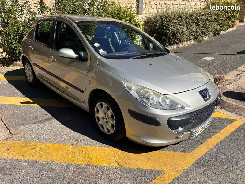 Peugeot 307 2005 photo 2