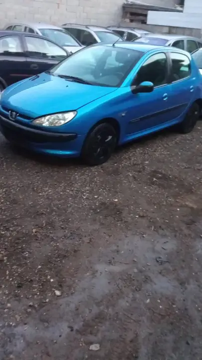 Peugeot 206 2005 photo 2