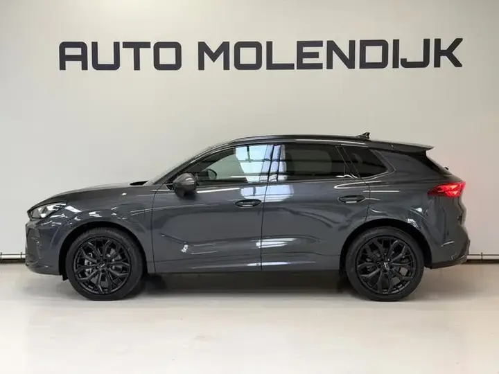 Cupra Terramar 2025 photo 2
