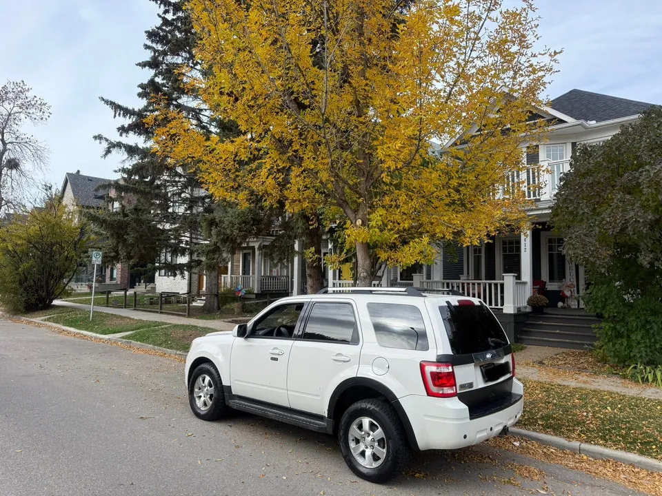Ford Escape 2010 photo 3