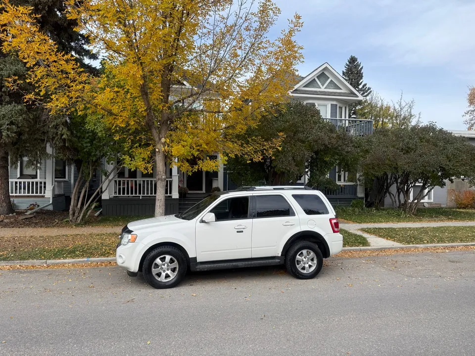 Ford Escape 2010 photo 4