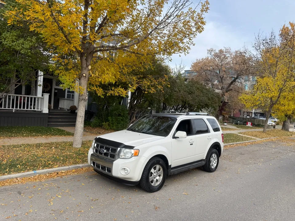 Ford Escape 2010 photo 2