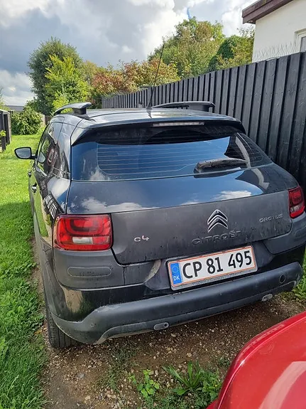 Citroen C4 Cactus 2016 photo 3