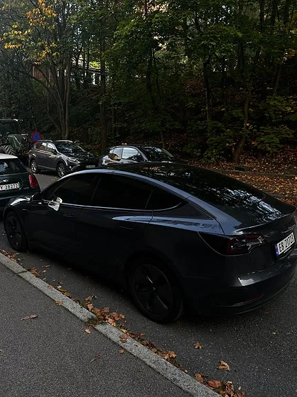 Tesla Model 3 2019 photo 5