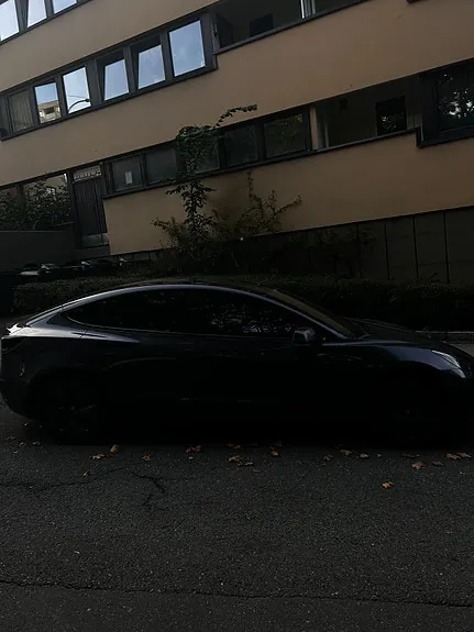 Tesla Model 3 2019 photo 3