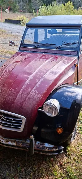 Citroen 2Cv 1985 photo 2