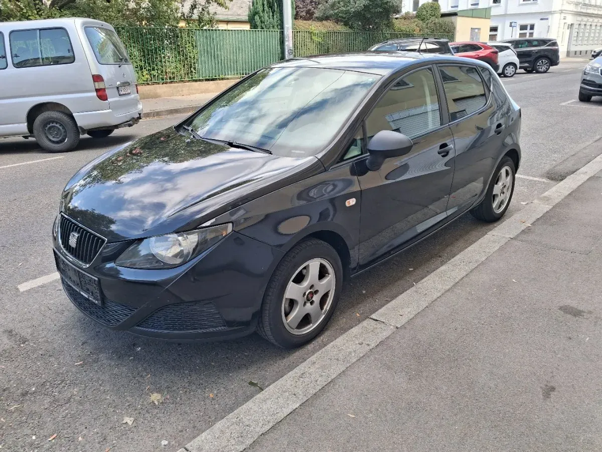 Seat Ibiza 2010 photo 3