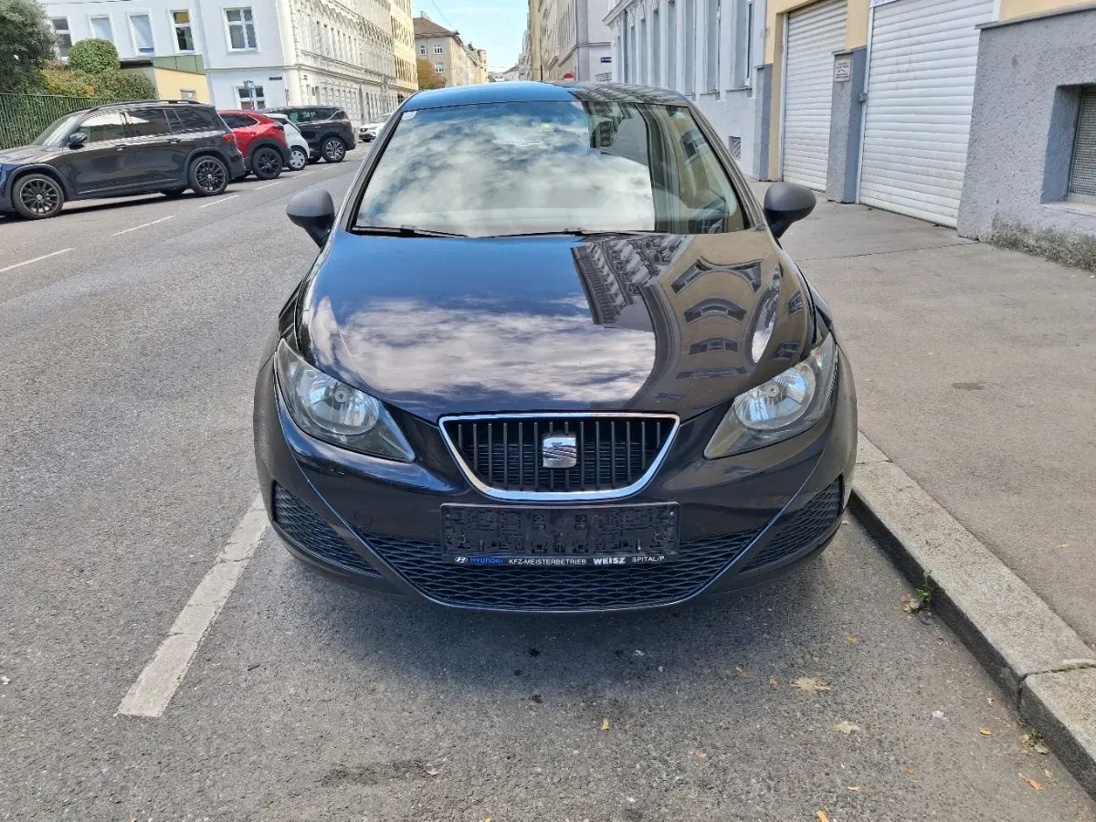 Seat Ibiza 2010 photo 2