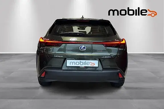 Lexus Ux300E 2020 photo 4