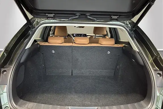 Lexus Ux300E 2020 photo 5