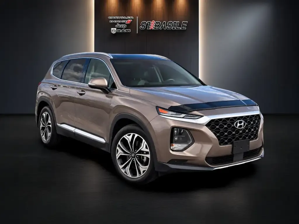 Hyundai Santa Fe 2019 photo 3