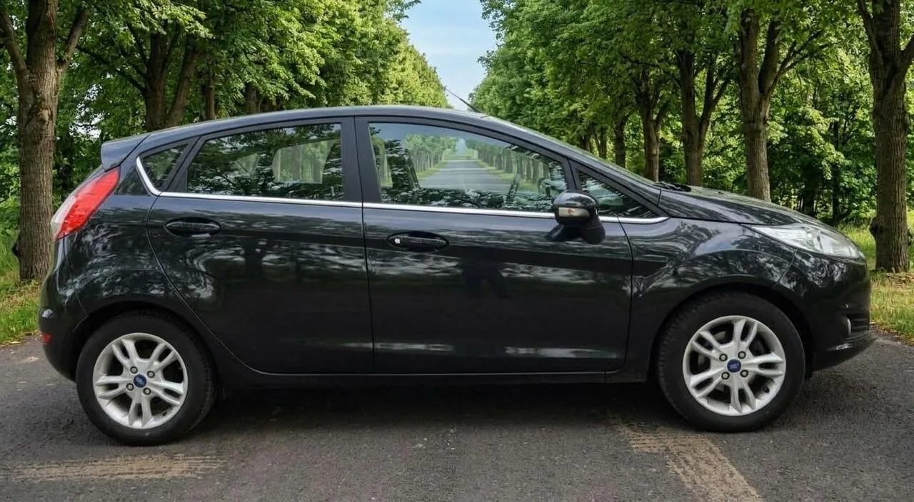 Ford Fiesta 2015 photo 2