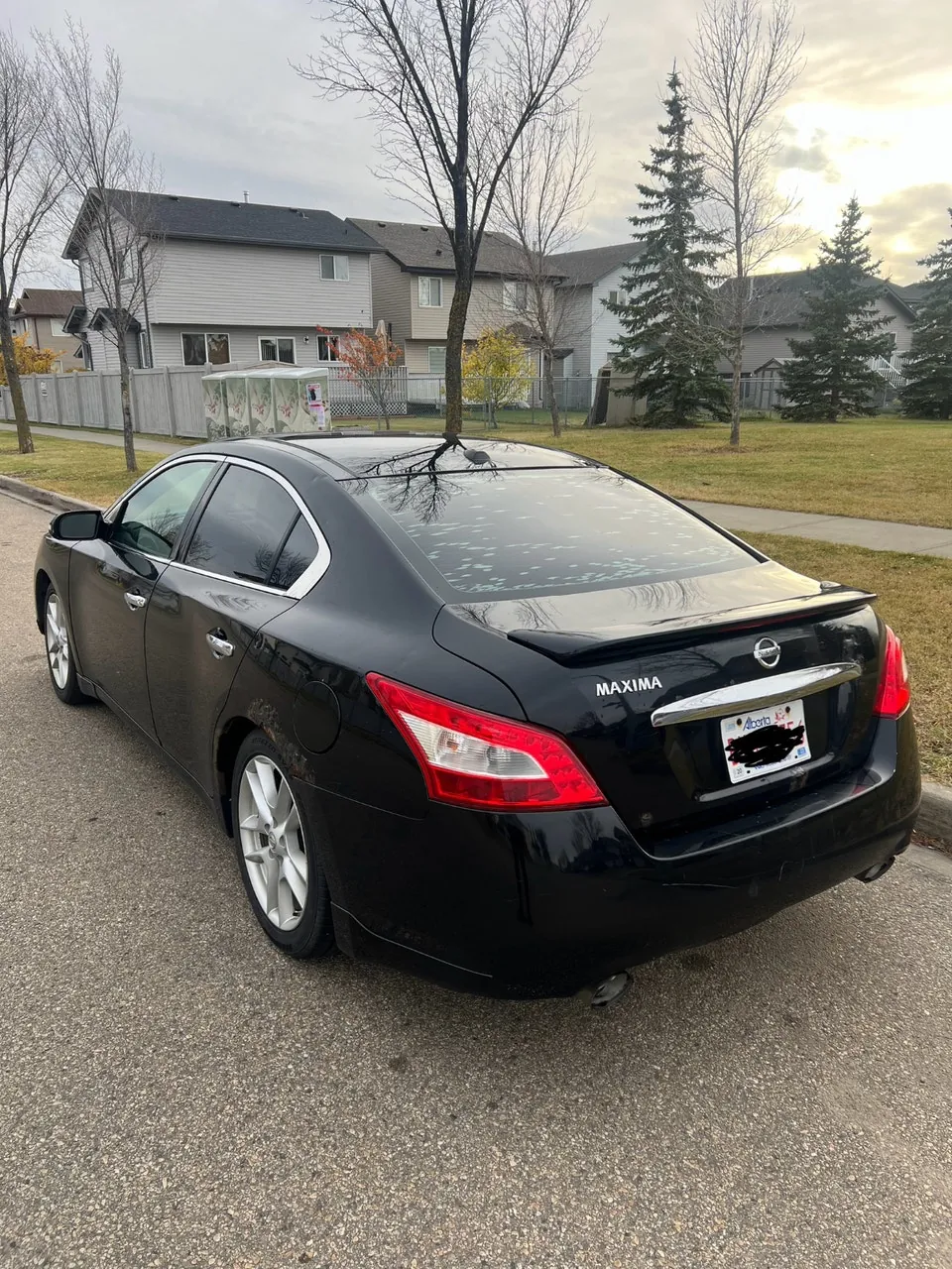 Nissan Maxima 2009 photo 4