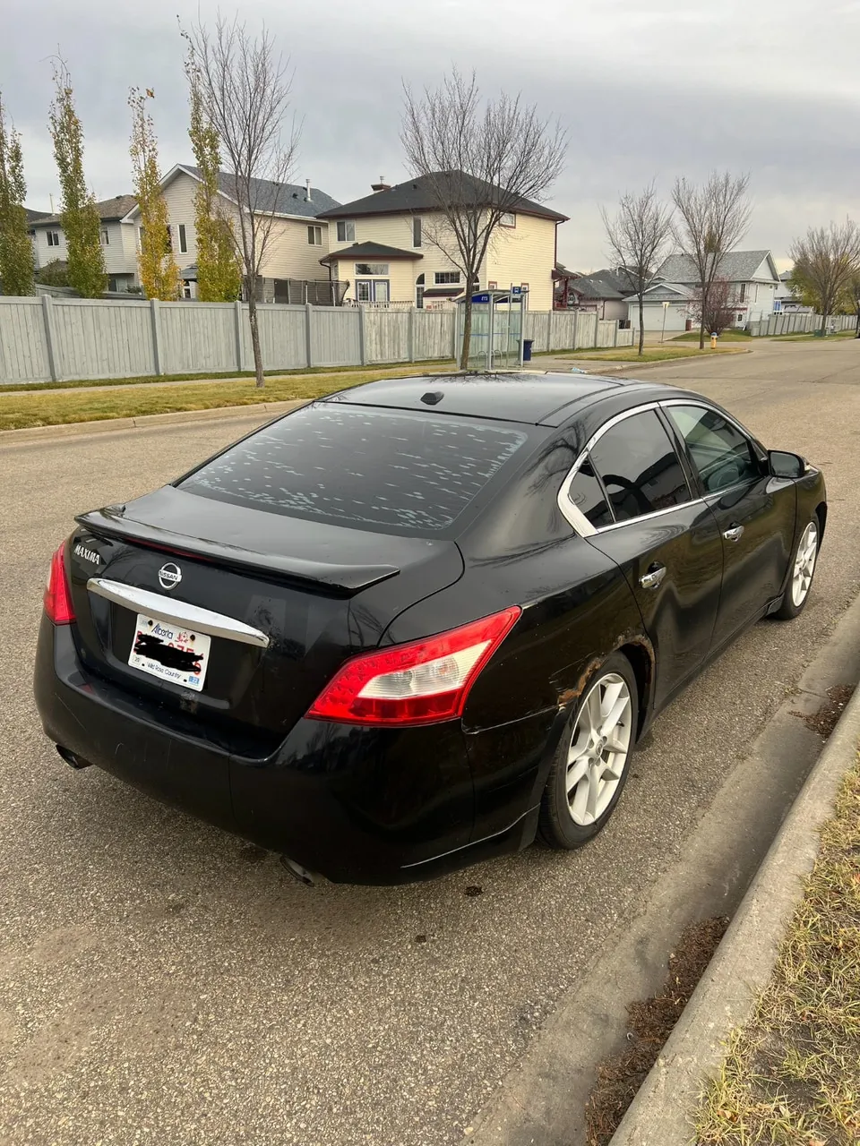 Nissan Maxima 2009 photo 2