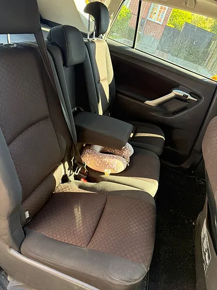 Toyota Verso 2011 photo 5
