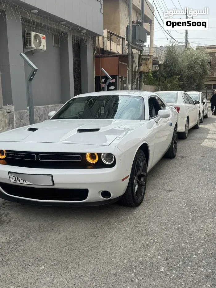 Dodge Challenger 2022 photo 4