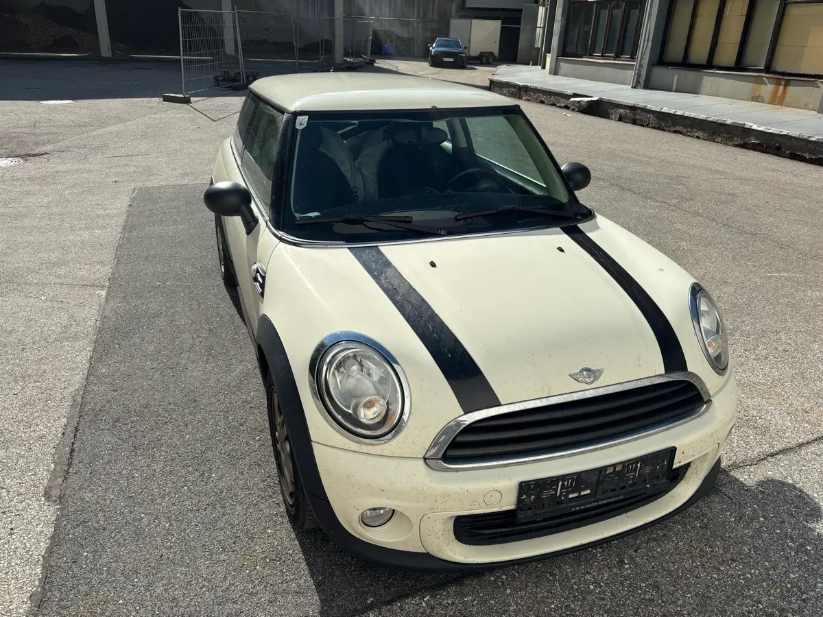 Mini Mini