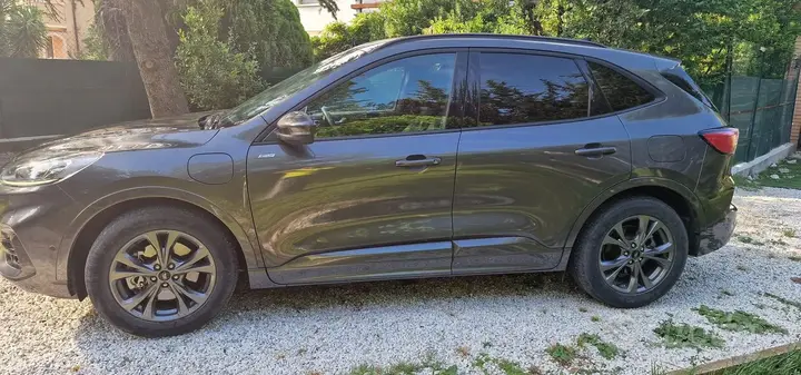 Ford Kuga 2020 photo 4