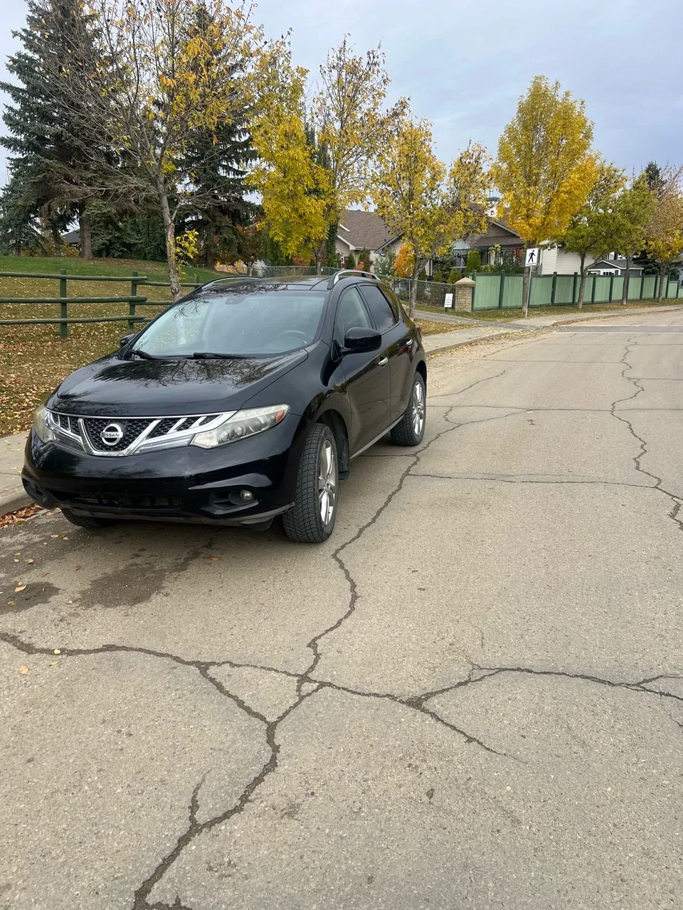 Nissan Murano 2013 photo 2