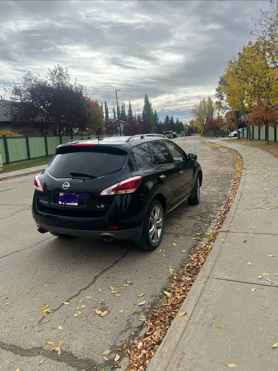 Nissan Murano 2013 photo 3
