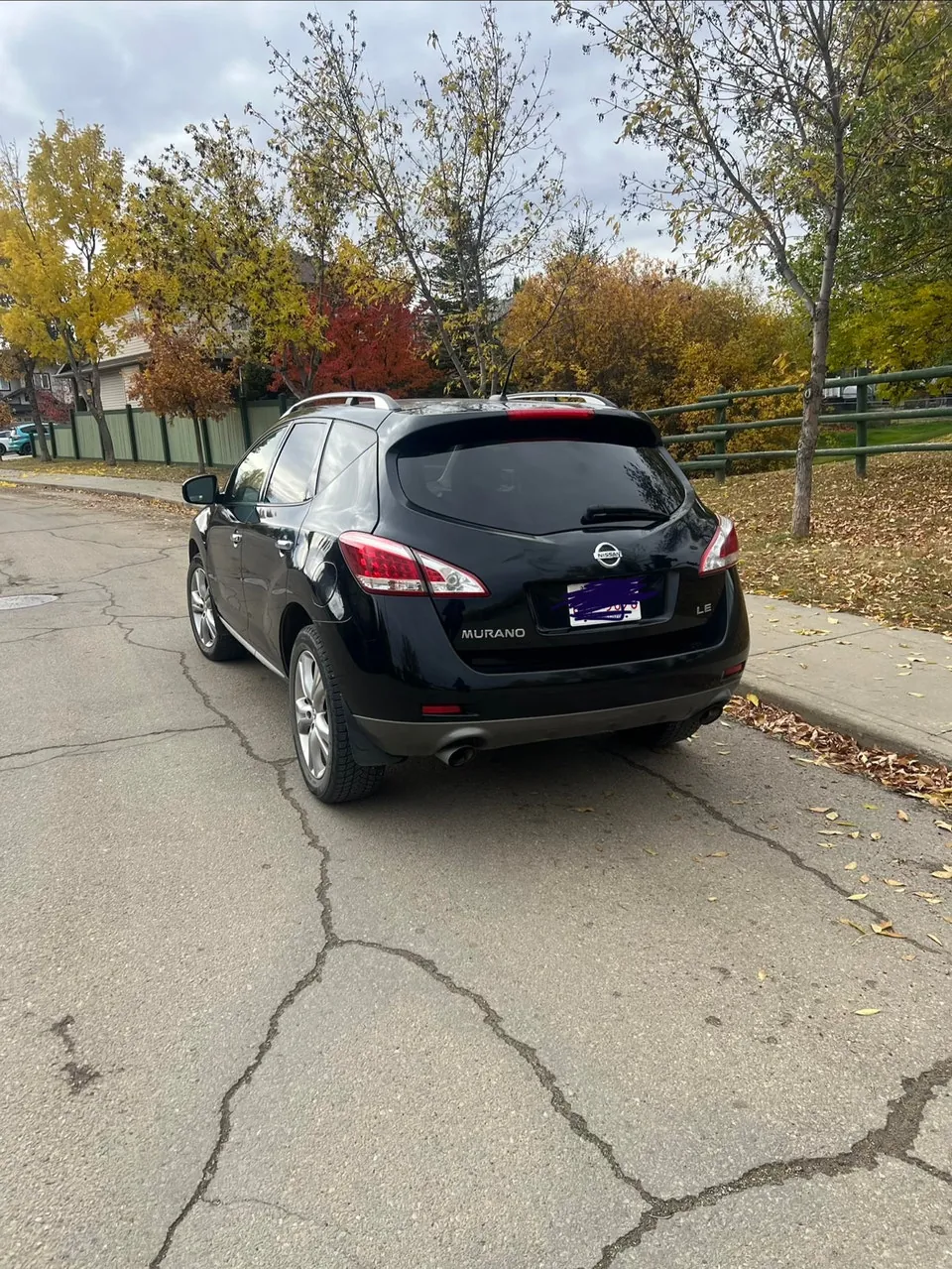 Nissan Murano 2013 photo 4