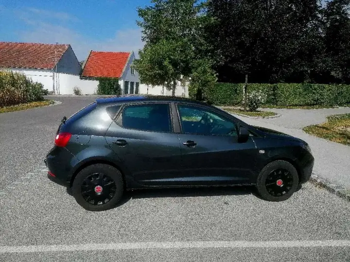 Seat Ibiza 2009 photo 2