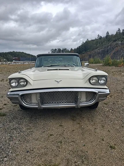 Ford Thunderbird 1958 photo 3