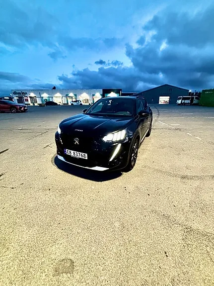 Peugeot E-2008