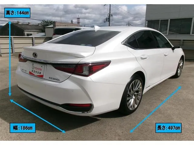 Toyota Es300H 2018 photo 3