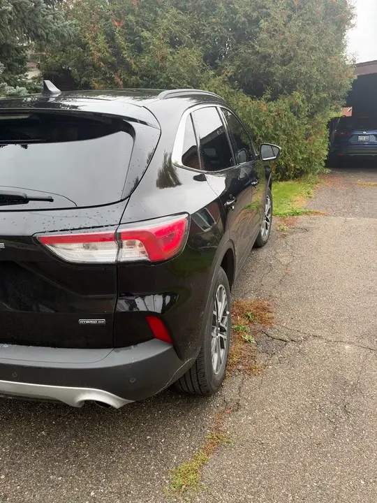 Ford Escape 2020 photo 3
