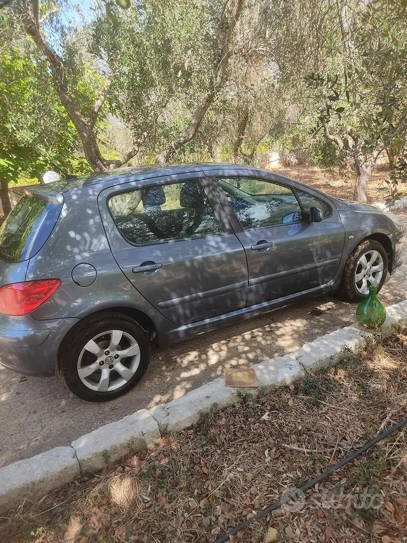 Peugeot 307 2006 photo 4
