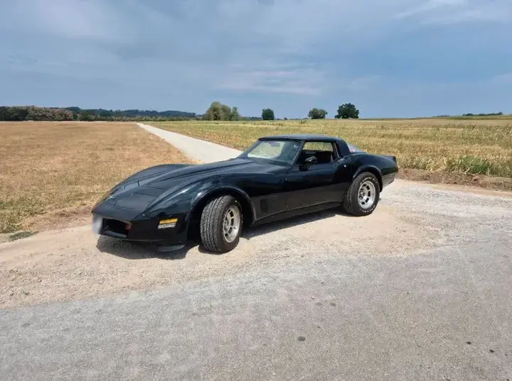 Chevrolet Corvette 1981 photo 3