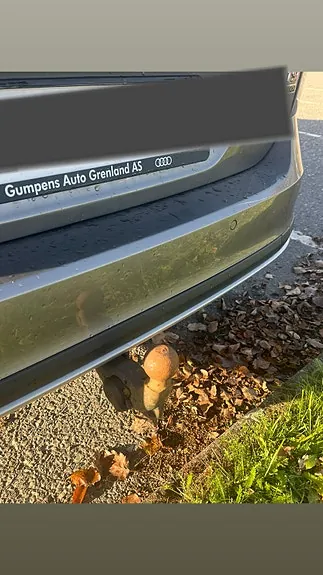 Volkswagen Golf Alltrack 2017 photo 4