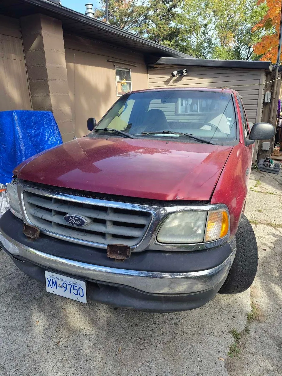 Ford F-150 2002 photo 4