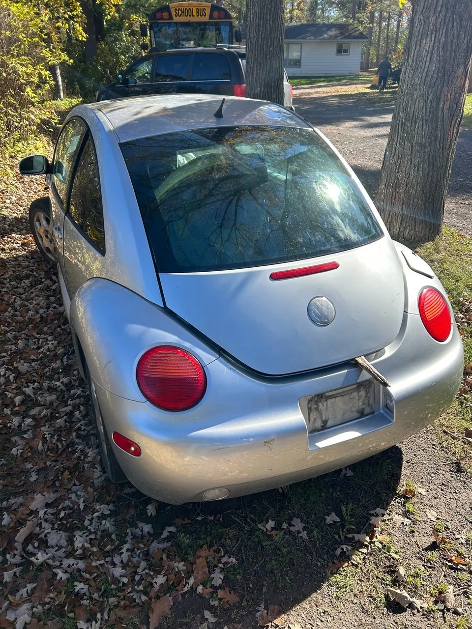 Volkswagen Beetle 2002 photo 2