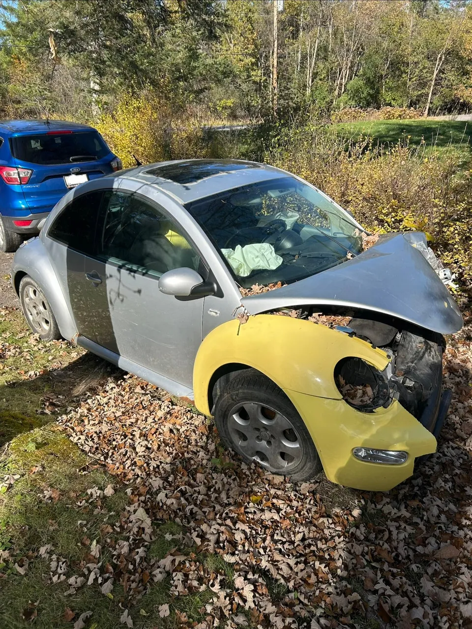Volkswagen Beetle 2002 photo 4