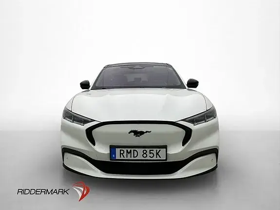 Ford Mustang Mach-E 2021 photo 2