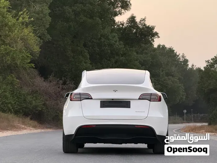 Tesla Model Y 2024 photo 4