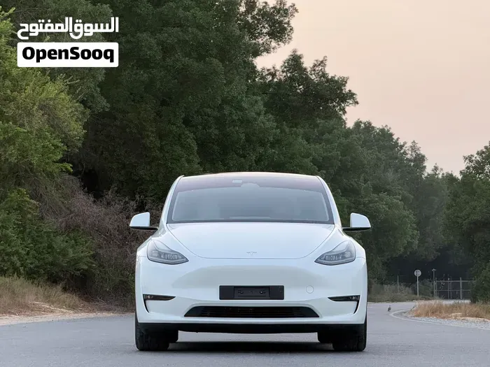 Tesla Model Y 2024 photo 3