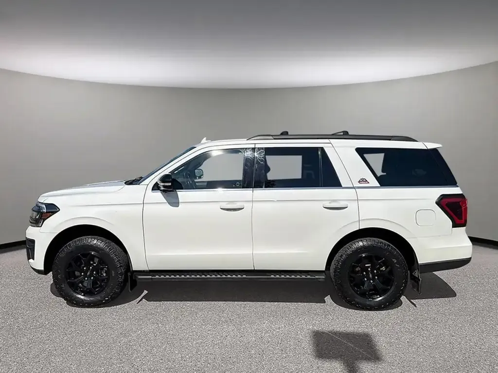 Ford Expedition 2022 photo 3